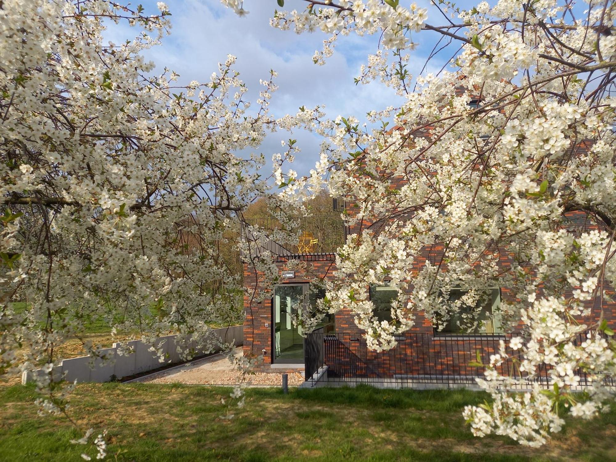 Trionfo Gaasbeek Exterior foto